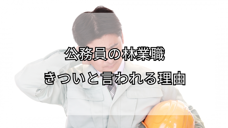 公務員の林業職がきついと言われる理由！向いていない人の特徴も解説